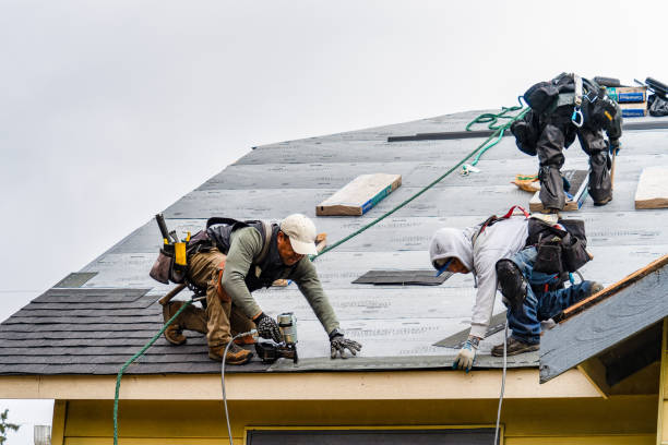 Professional Flat Roof Repair technician working in Evanston, IL